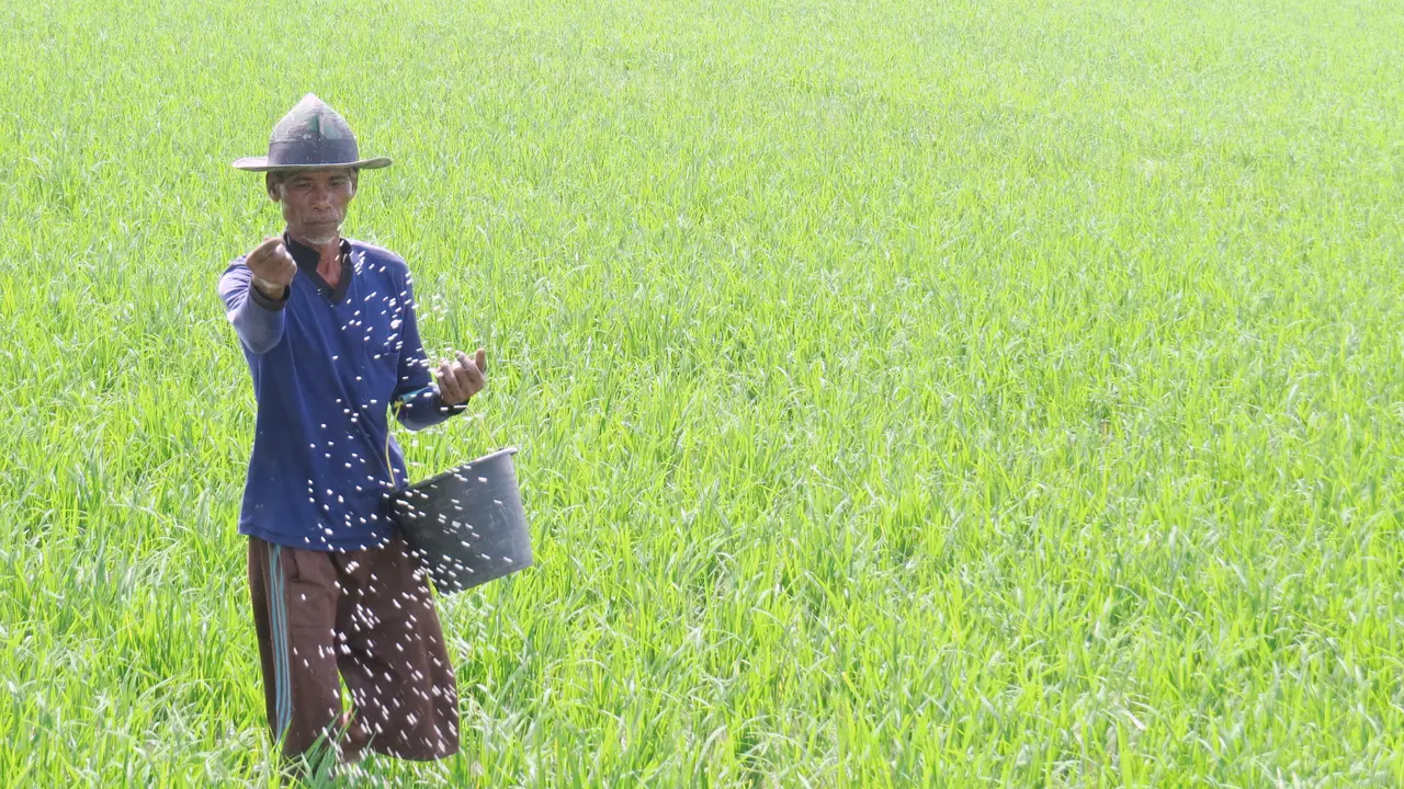 menghadapi-krisis-pangan-kementan-targetkan-pencetakan-3-juta-hektar-sawah-baru-dalam-empat-tahun