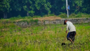 menghadapi-krisis-pangan-kementan-targetkan-pencetakan-3-juta-hektar-sawah-baru-dalam-empat-tahun