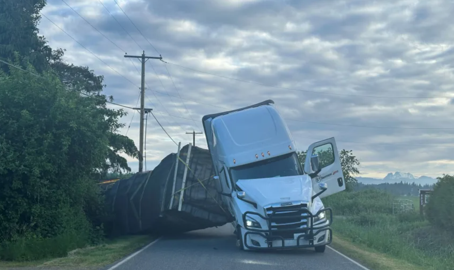 truk-terbalik-di-washington-jutaan-lebah-lepas-dan-terbang-bebas-ke-alam